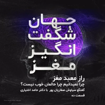 کاور راز معبد مغز