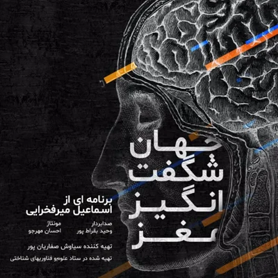کاور دنیای پر رمز و راز خواب