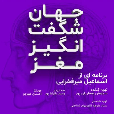 کاور چگونه مغز ما جهان ما را می سازد؟!