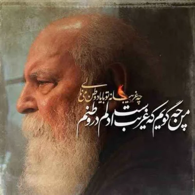 کاور من چه گویم که غریب است دلم در وطنم