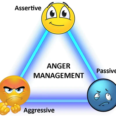 کاور نوع سوم خشم | Assertive Anger