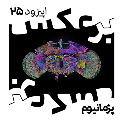 O.P.25 episode artwork