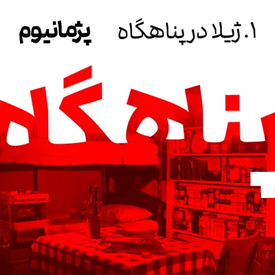 کاور ژیلا در پناهگاه