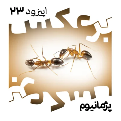 O.P.23 episode artwork