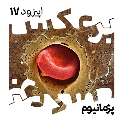 O.P.17 episode artwork