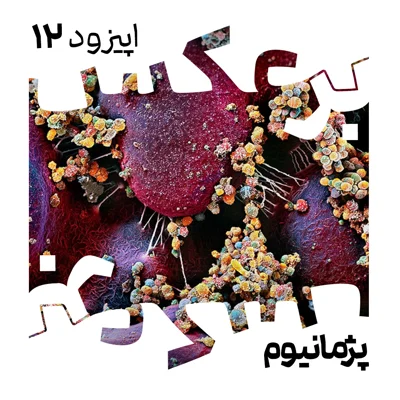 O.P.12 episode artwork