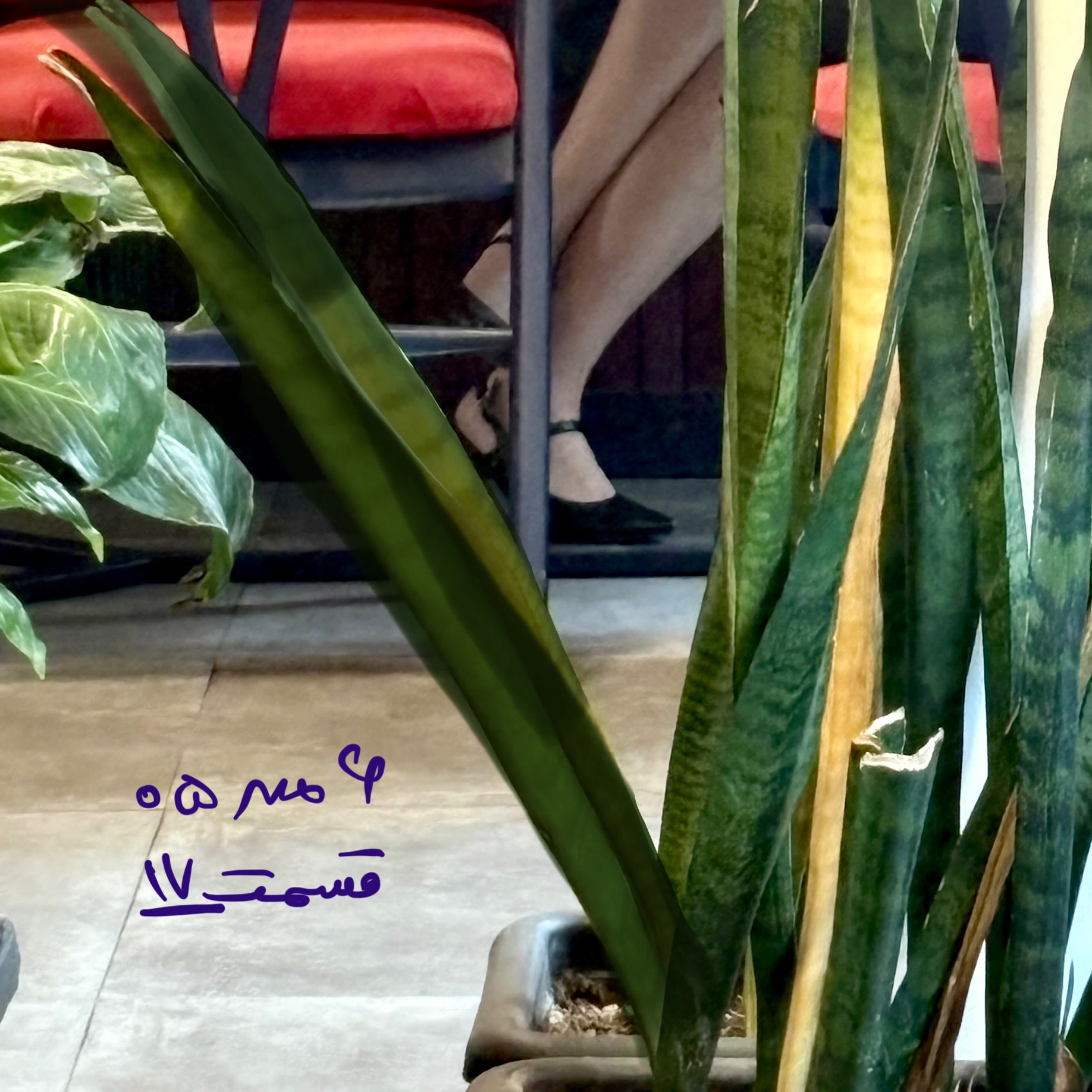 کاور ۶ مهر ۱۴۰۵