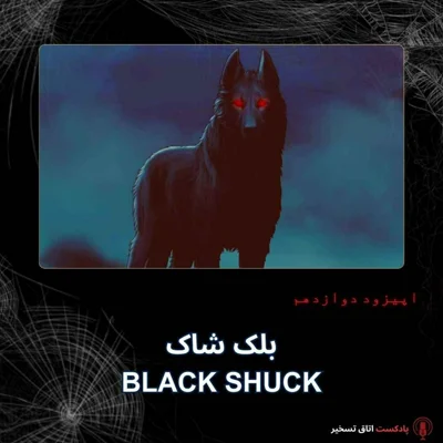 کاور بلک شاک