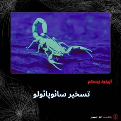 کاور تسخیر سائوپائولو