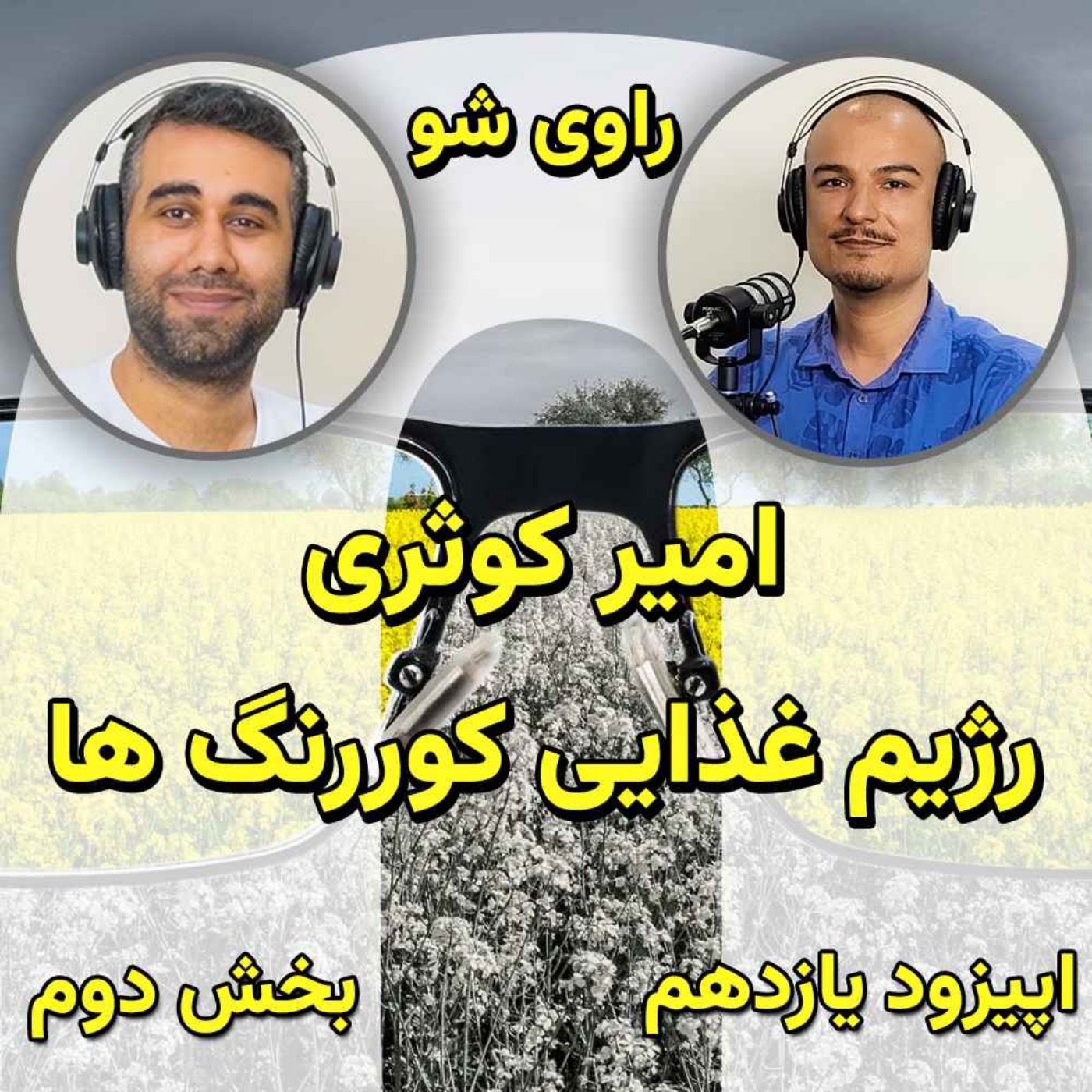 کاور ۱۱ - امیر کوثری - رژیم غذایی کوررنگ ها