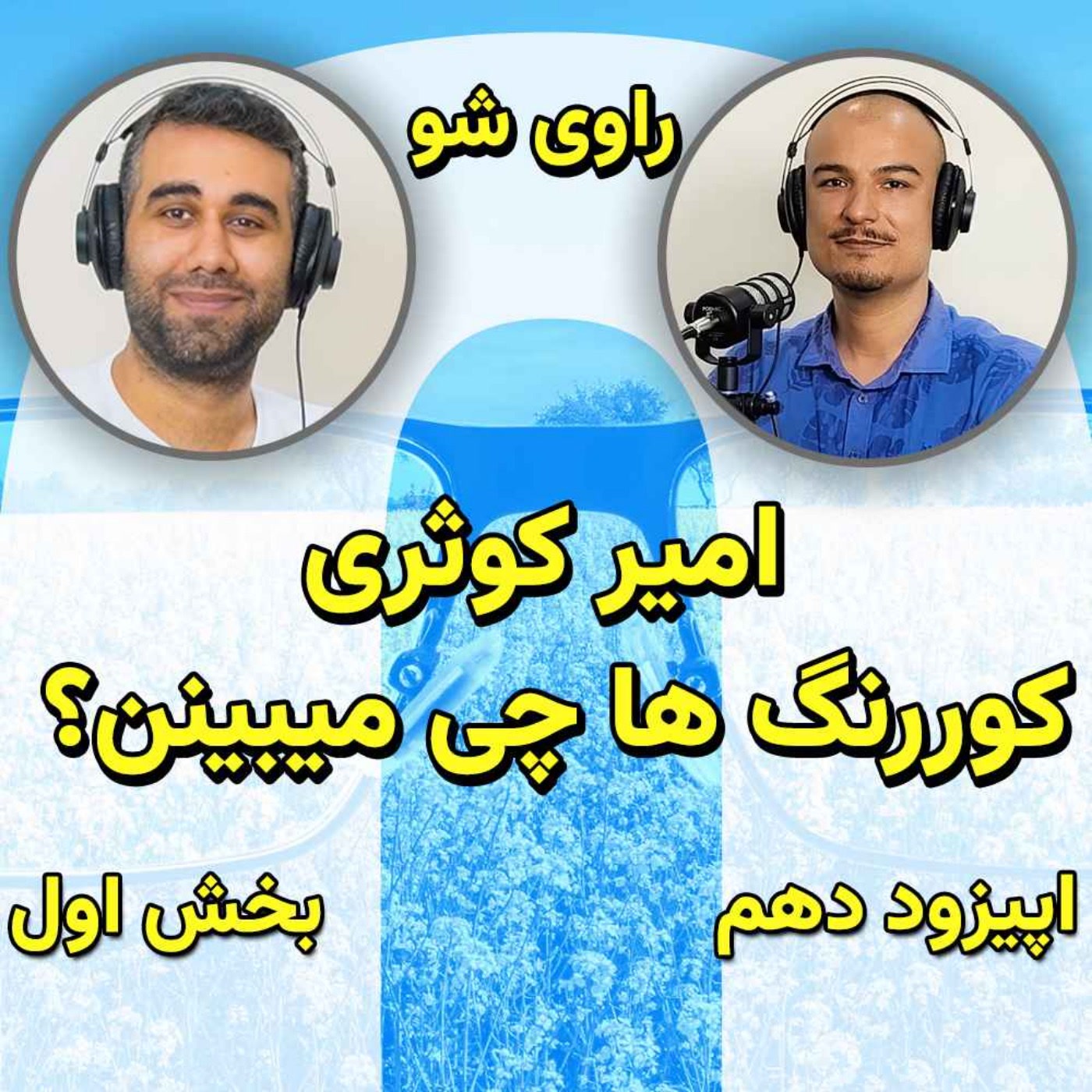 کاور ۱۰ - امیر کوثری، کوررنگ ها چی میبینن؟ کوررنگی چیه و چند نوع داره