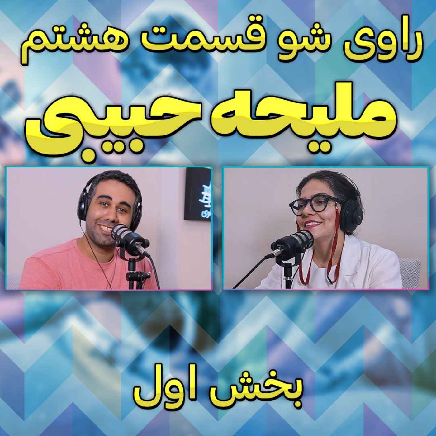 کاور ۸ - ملیحه حبیبی - تلاش بی پایان - راوی شو - بخش اول