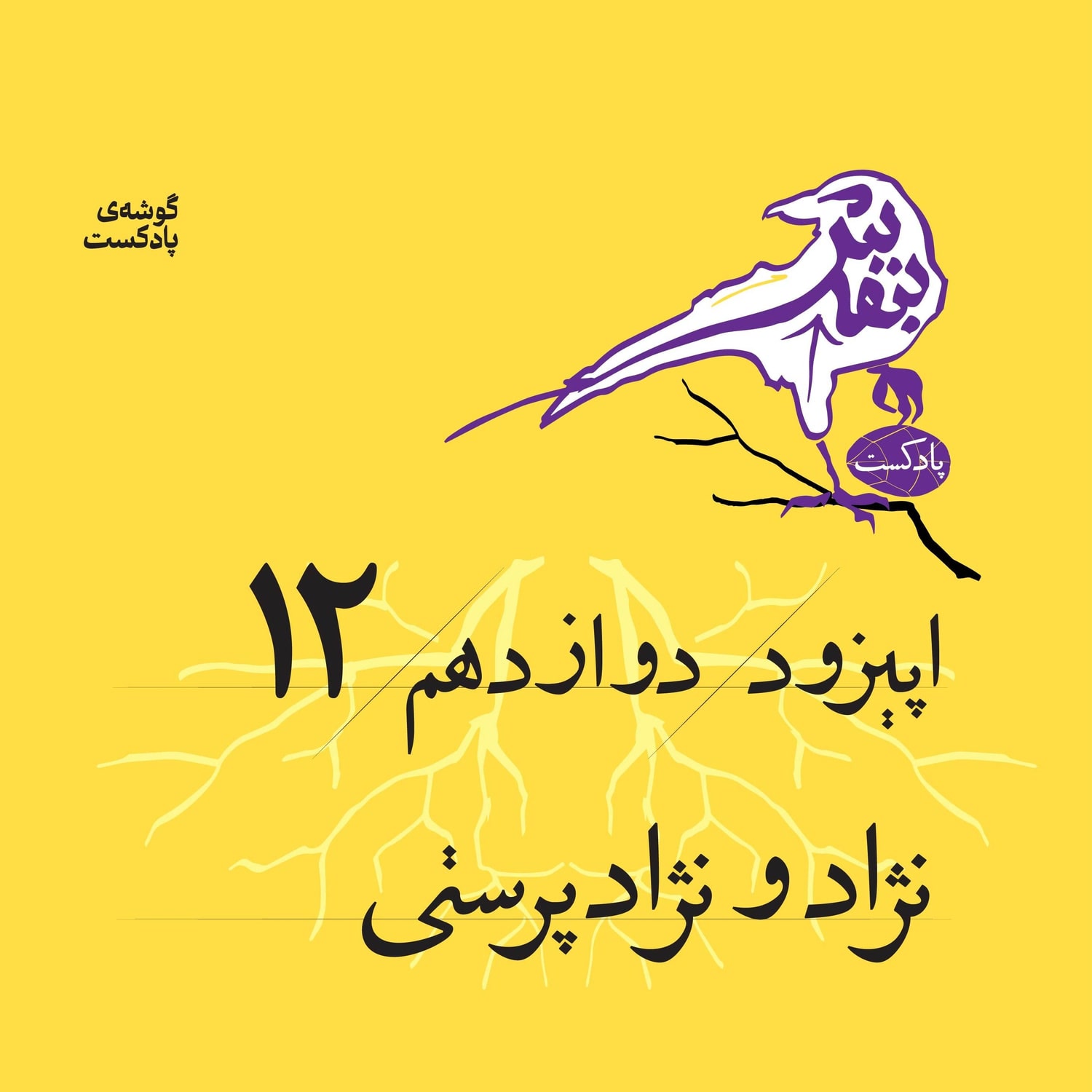 کاور اپیزود دوازدهم | نژاد و نژادپرستی