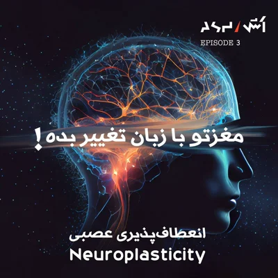 کاور E3 | dr tara swart با کمک مغز روابطمونو درست کنیم و عضلاتمونو بزرگ | حل مشکلات فکری